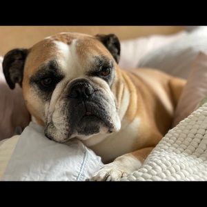 Meet your Posher, Lexa